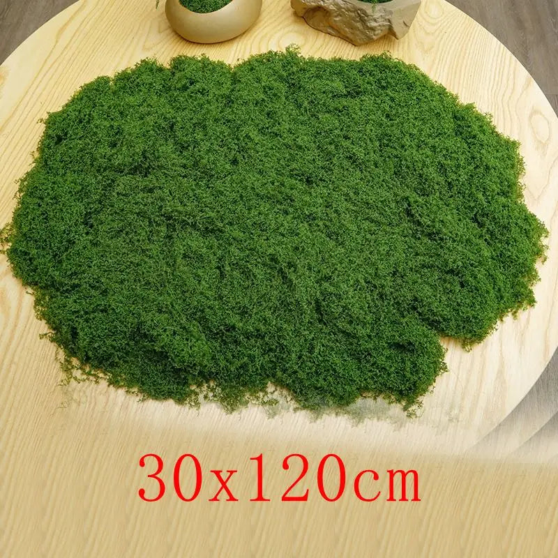Natural Green Preserved Moss for DIY Crafts and Decor