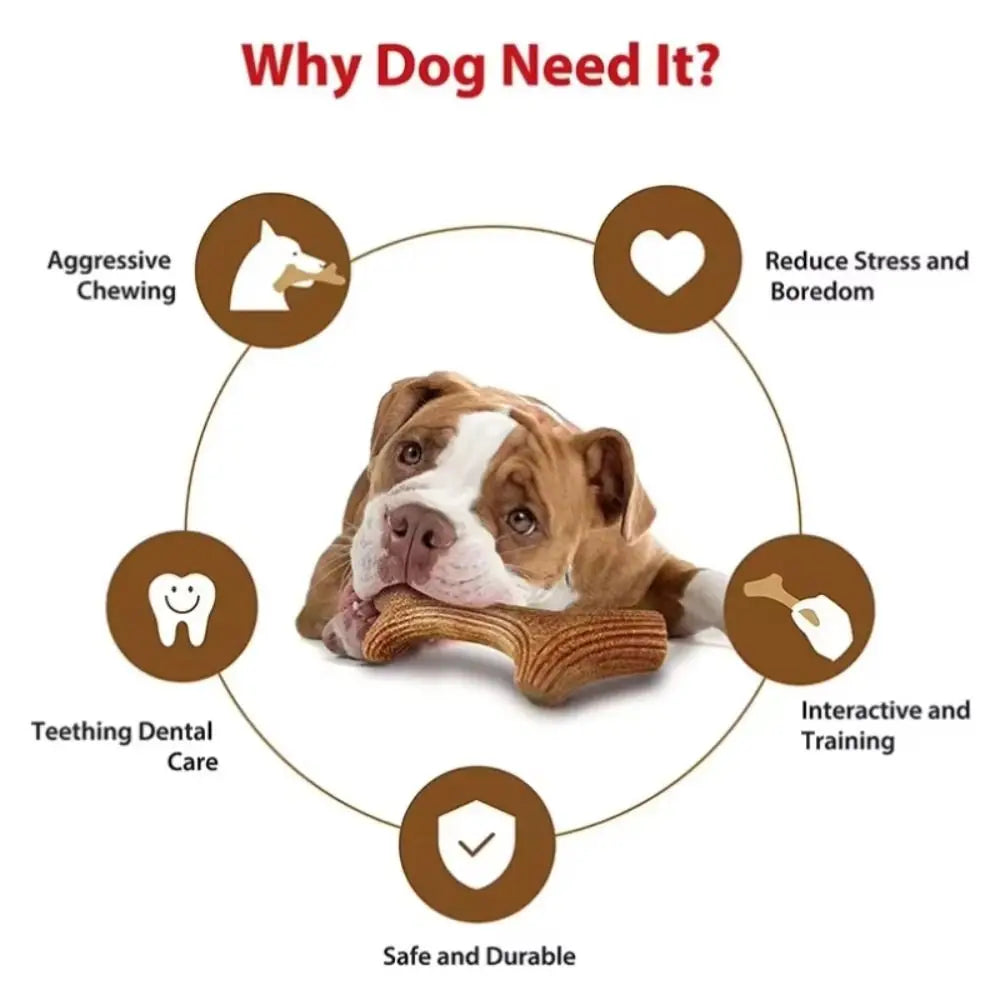 Infographic showing benefits of natural wood dog chew sticks for aggressive chewers including reducing stress and providing d