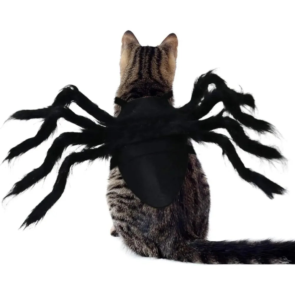 Halloween Spider Costume for Small Dogs and Cats