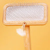A wooden pet grooming brush with massage bristles is shown, featuring a light wood tone and a rectangular comb head.