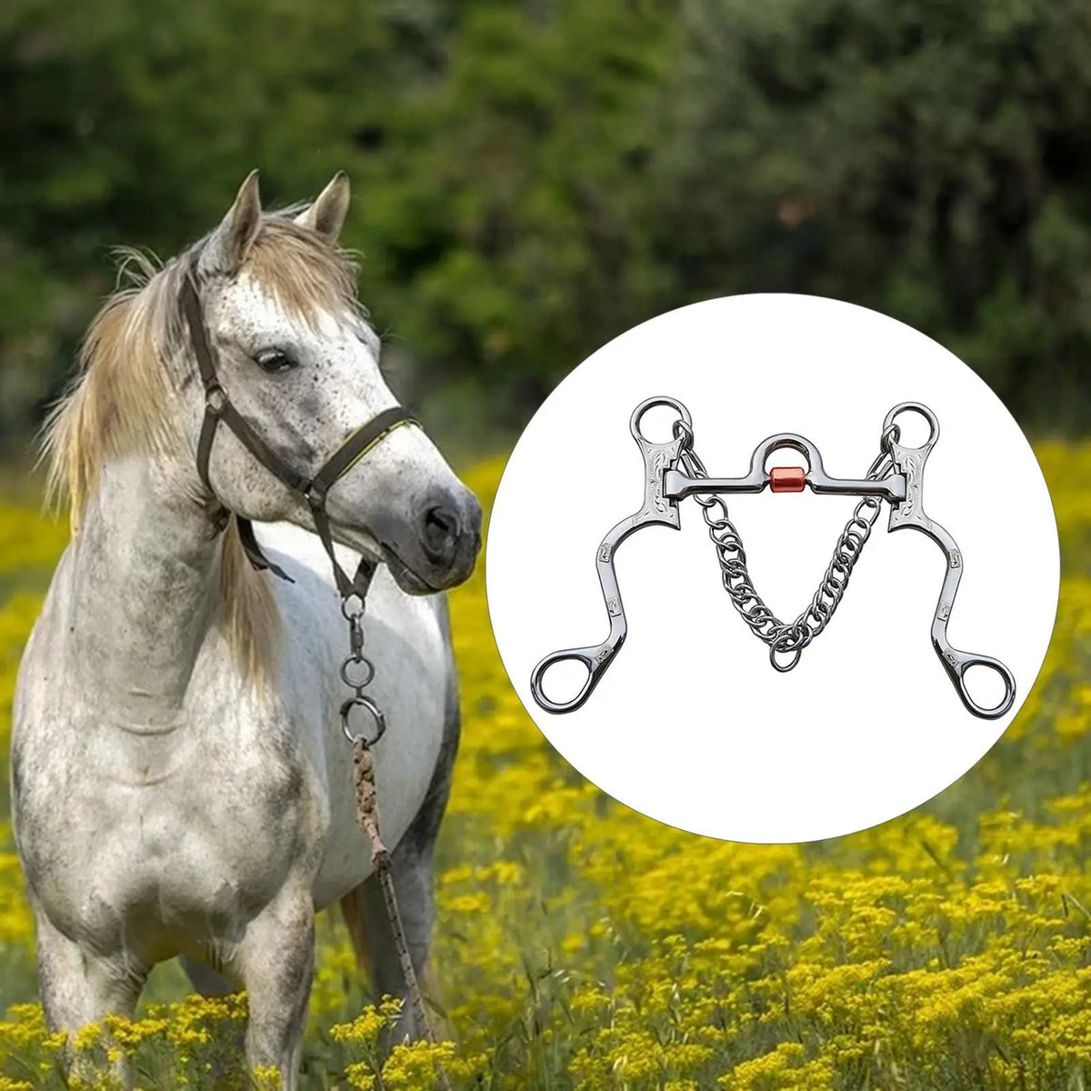 A light gray horse is standing in a yellow field next to an illustration of a stainless steel horse bit with a copper mouthpi
