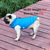Windproof Padded Dog Coat for Small Breeds