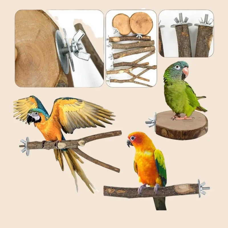 Natural Wood Forked Bird Perch for Small Parrots