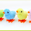 Wind Up Plush Chick Cat Toy - Interactive Cartoon Toy