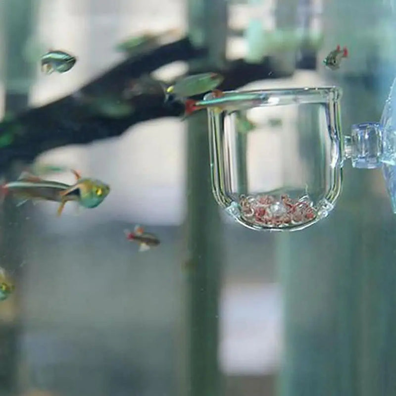 Acrylic Aquarium Plant Cup with Suction Holder