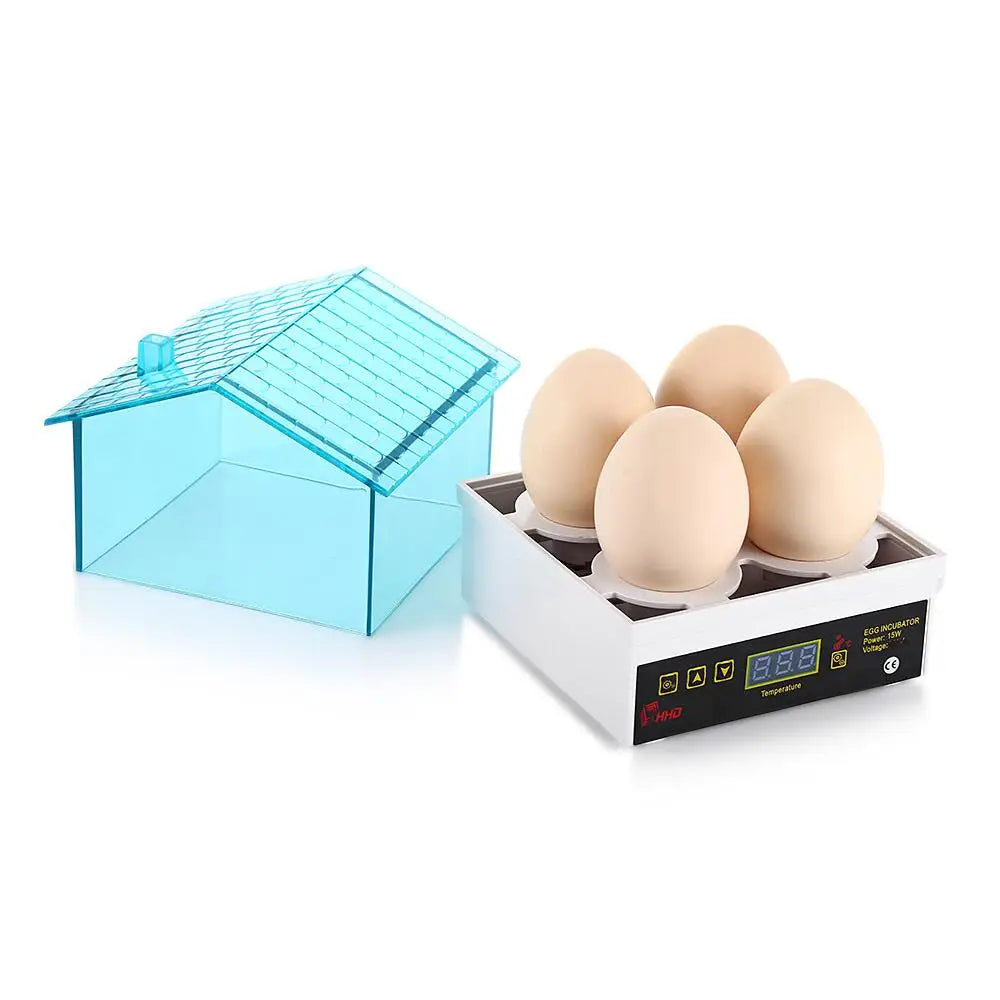 Incubateur en plastique transparent contenant plusieurs œufs bruns et un affichage numérique de température.