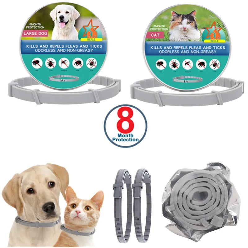 USB Rechargeable Luminous Collar for Dogs and Cats