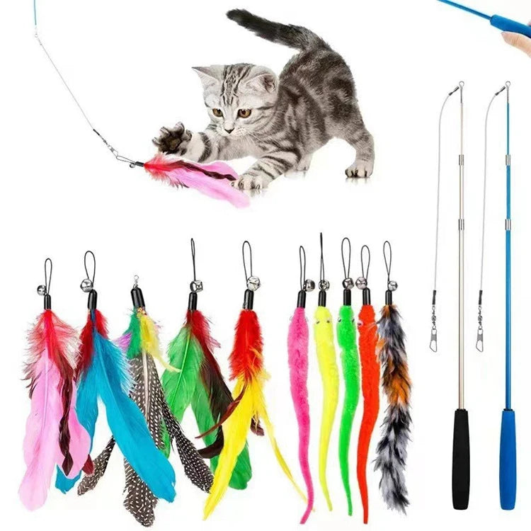 A variety pack of interactive cat toys featuring a gray kitten, feathers, and a telescopic pole.