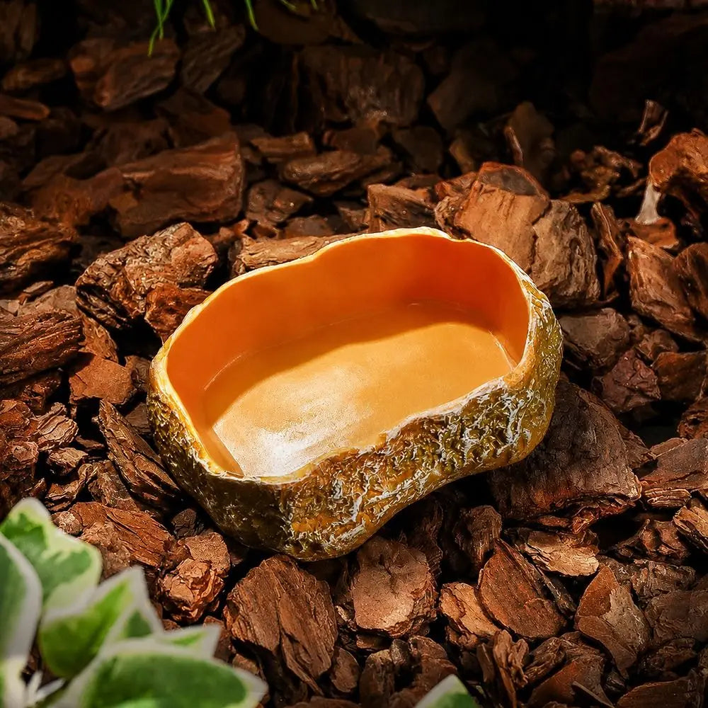 Reptile Feeding and Water Bowl with Natural Tree Stump Design