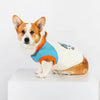 A small Shiba Inu dog wearing a light blue vest with orange trim against a white background.
