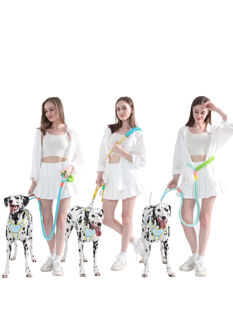 Three women demonstrate an adjustable hands-free dog leash for walking and exercise with dogs.