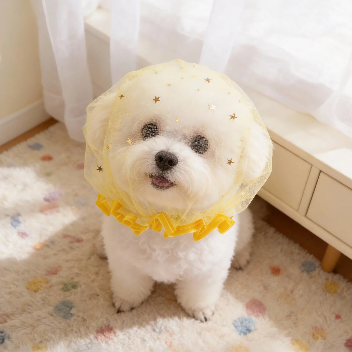 Breathable Star Tulle Dog Muzzle Cover for Outdoor Walks
