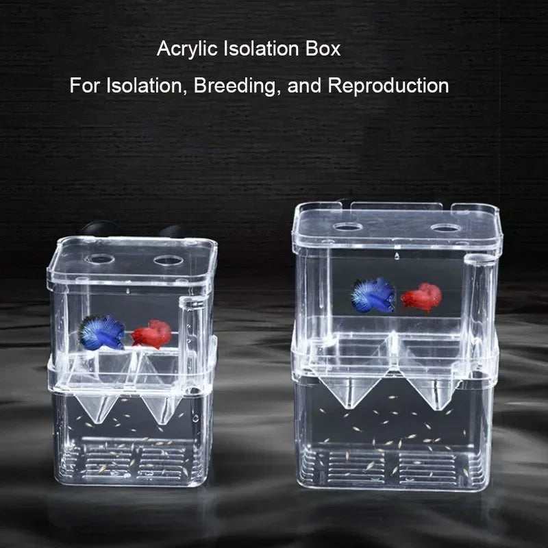 Acrylic Fish Breeding Isolation Box with Double Compartments