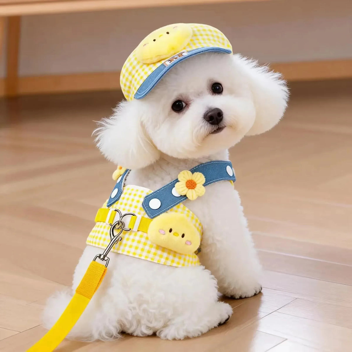 Cartoon Dog Harness Vest with Matching Leash