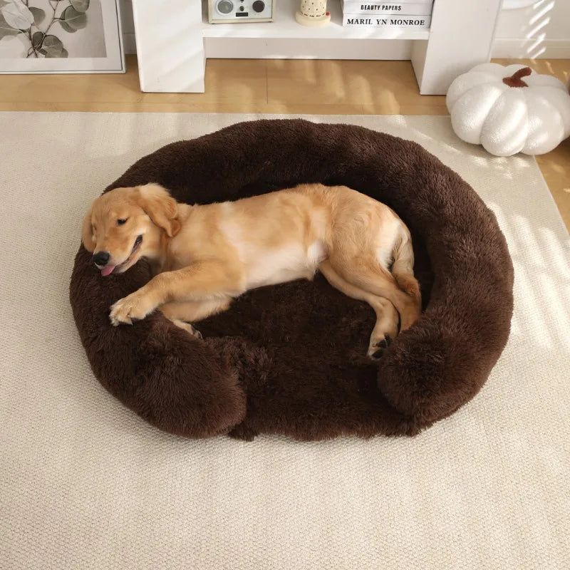 A light golden dog is lying inside a round, dark brown, ultra-soft dog bed on a white rug.