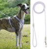 Reflective Nylon Dog Leash with Quick-Release Clip – 150cm
