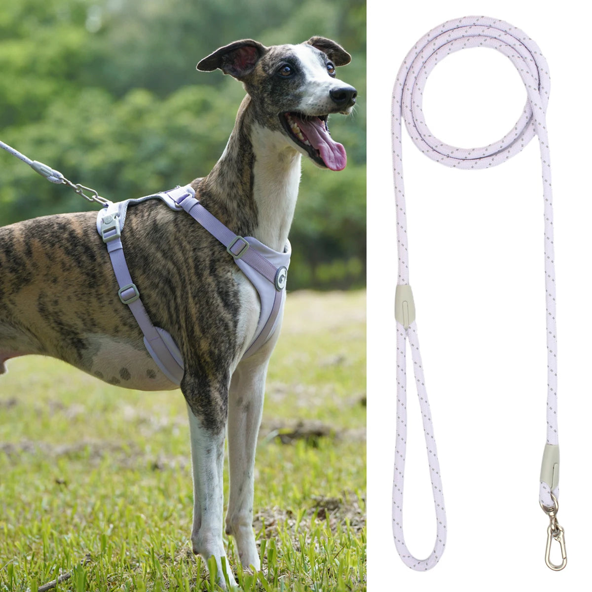 Reflective Nylon Dog Leash with Quick-Release Clip – 150cm