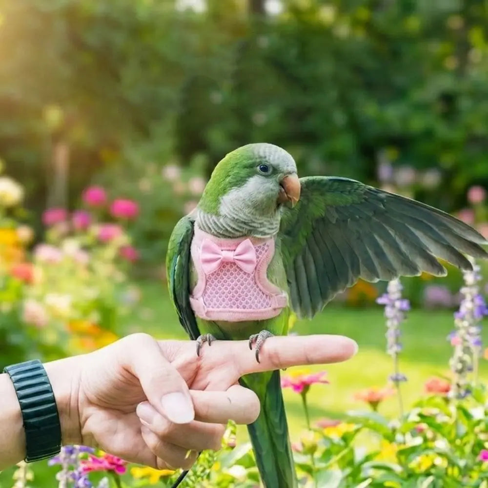 A hand points at a green parrot with pink harness wings in a garden setting.