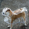 Clear Waterproof Dog Raincoat with Adjustable Hood