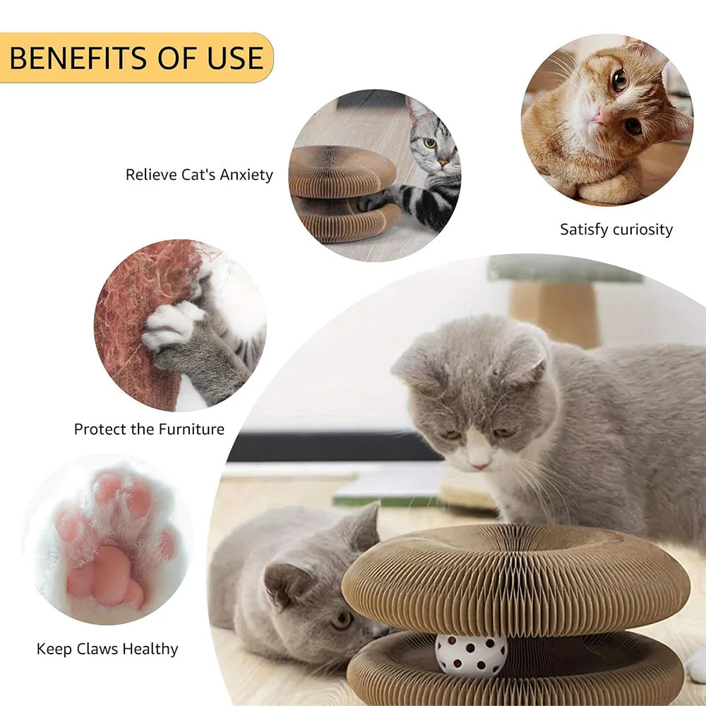 A gray cat is interacting with an accordion-style cat scratcher and toy ball designed to relieve anxiety and keep claws healt