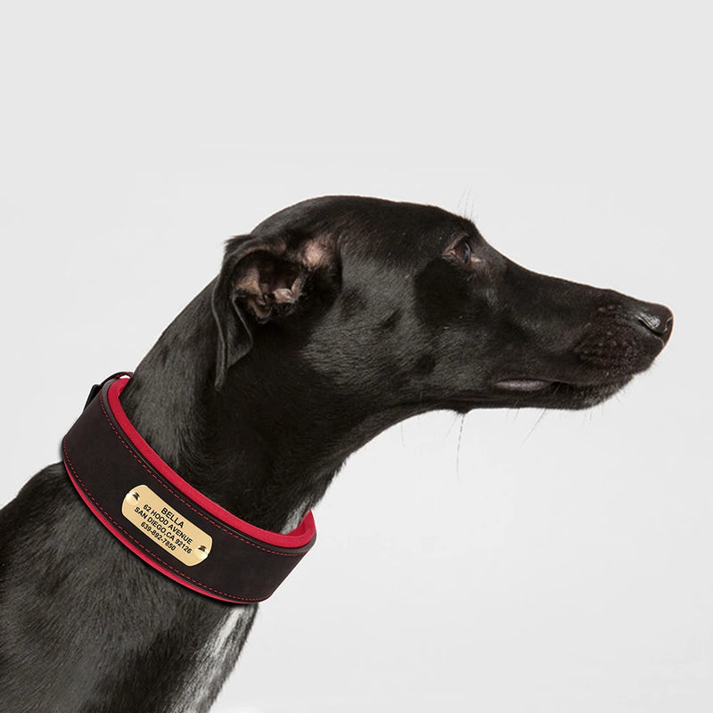 Wide Personalized PU Leather Dog Collar With Custom Name Tag