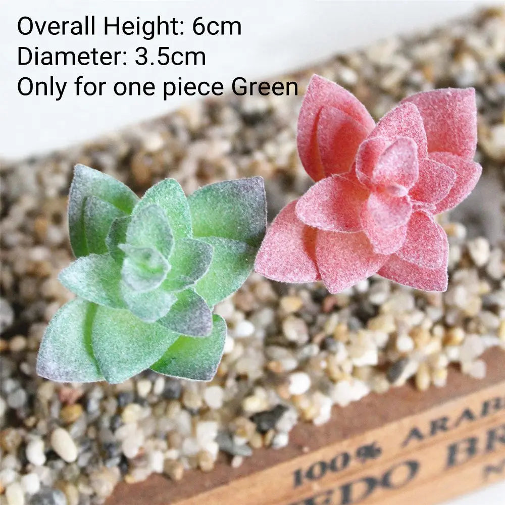 A pink succulent plant with green leaves is displayed on a textured surface.