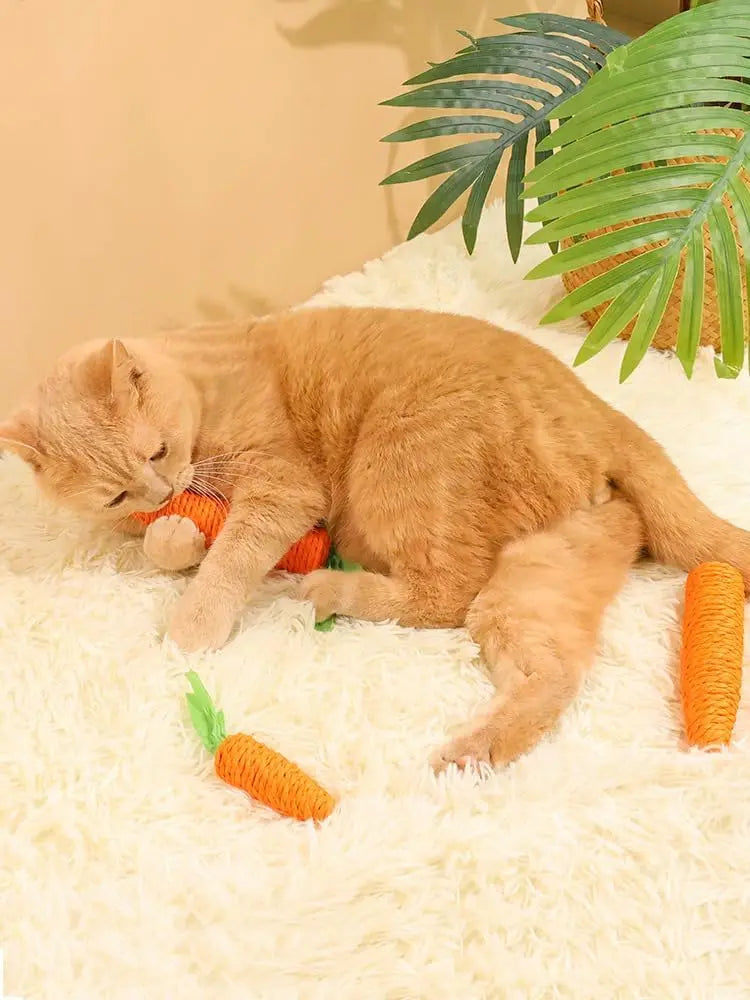Juguete para Mamar de Gato con Forma de Zanahoria