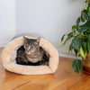 Niche de Sommeil Semi-Ouverte pour Chat