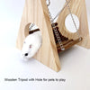 Hamster Wooden Swing with Natural Chew Sticks
