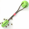 Interactive Suction Cup Dog Chew Toy for Dental Health & Play