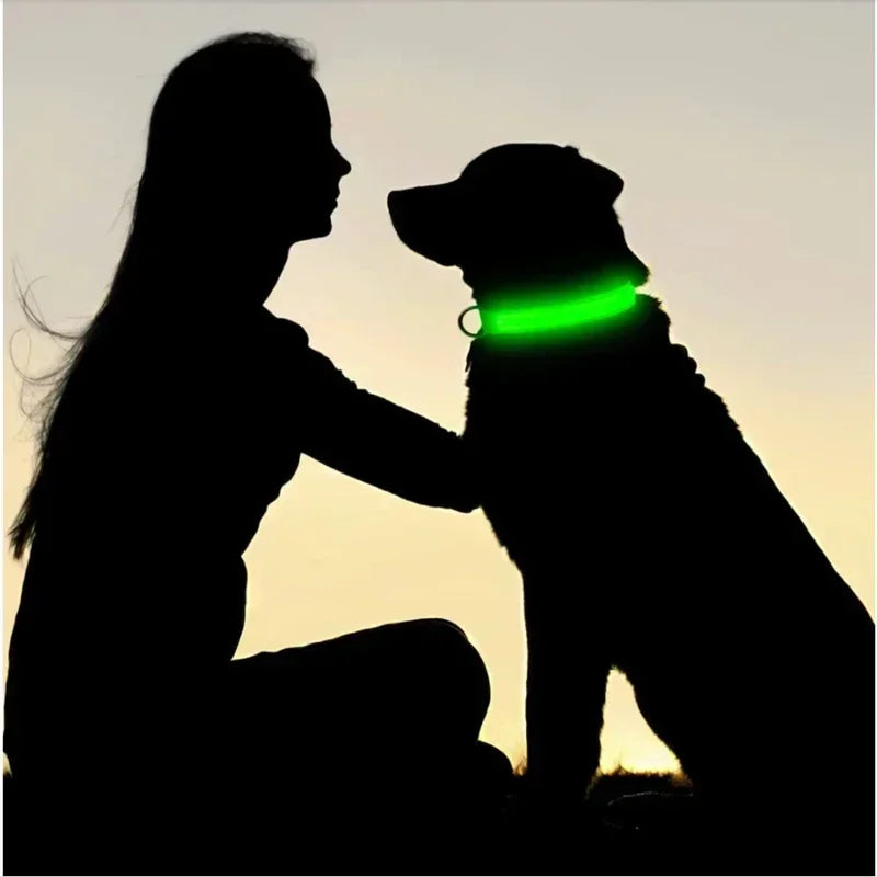 USB-aufladbarer LED-Hundehalsband für Nachtsicherheit