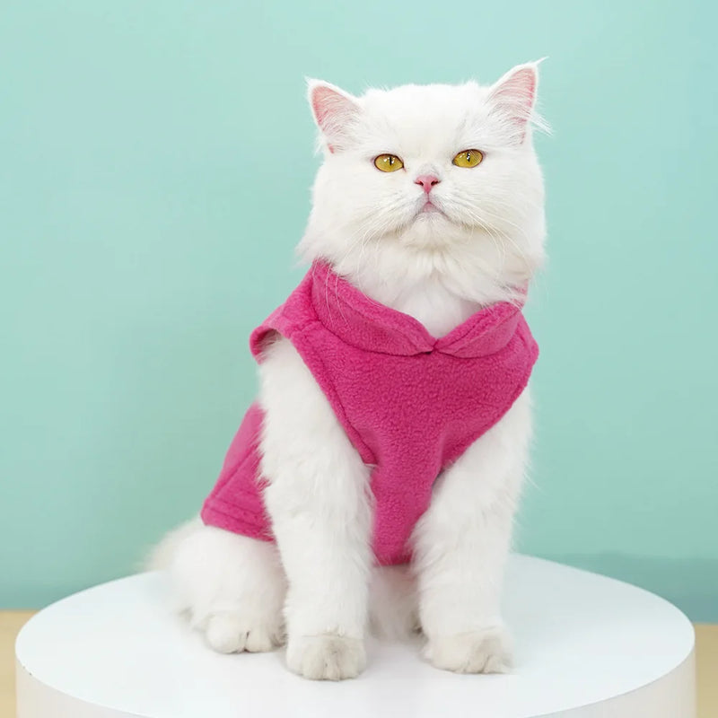 معطف كلب صوفي دافئ للخريف والشتاء من المقاس الصغير إلى XL