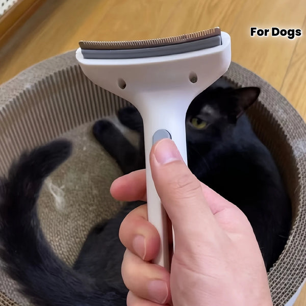 A hand is holding a white pet hair remover brush with a wide arc base, positioned over a black cat in a bowl.