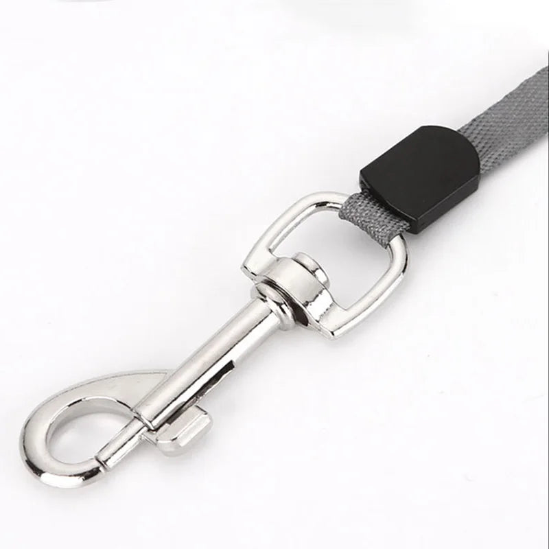 Nylon Retractable Dog Leash 3m-5m for Small Dogs