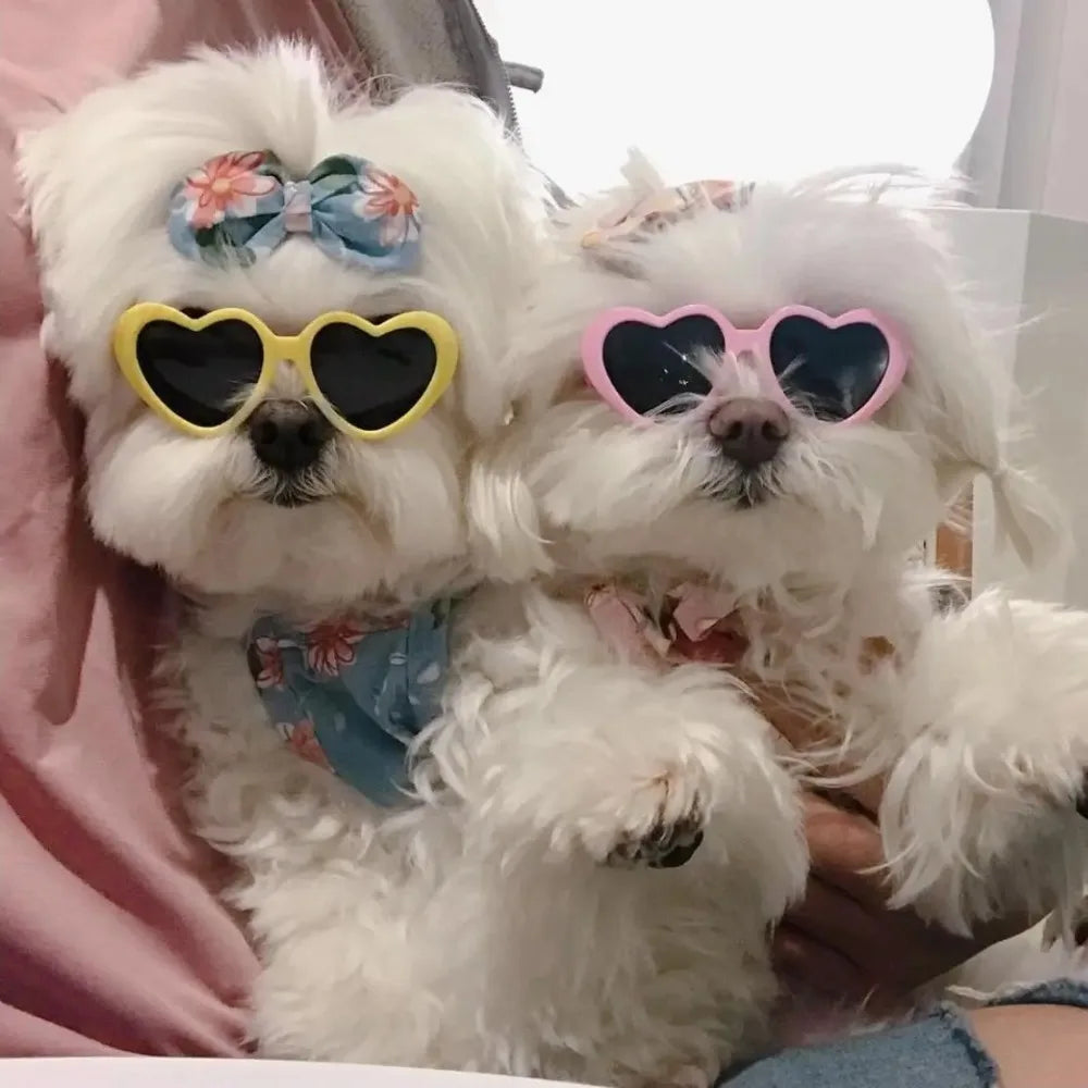 Fashion Pet Sunglasses with Heart-Shaped Jewelry Accents for Dogs & Cats