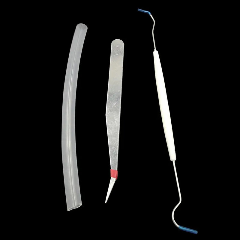 Kit de démarrage pour fourmilière avec abreuvoir et outils