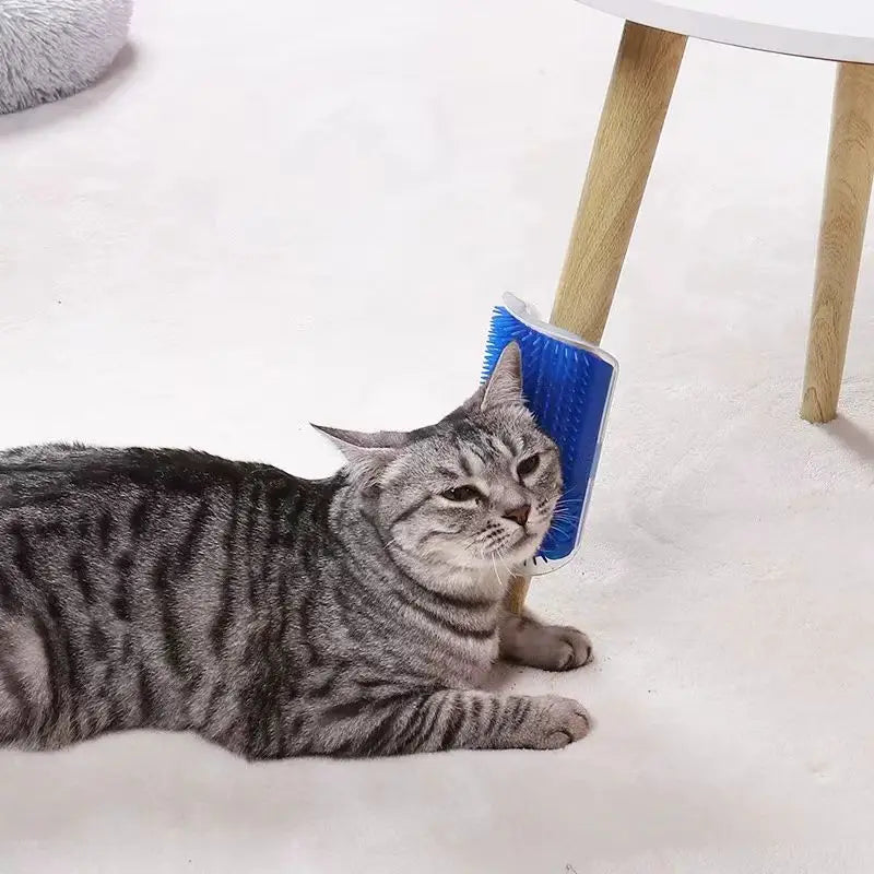 A tabby cat is resting next to a blue massage brush for hair removal on a white surface.