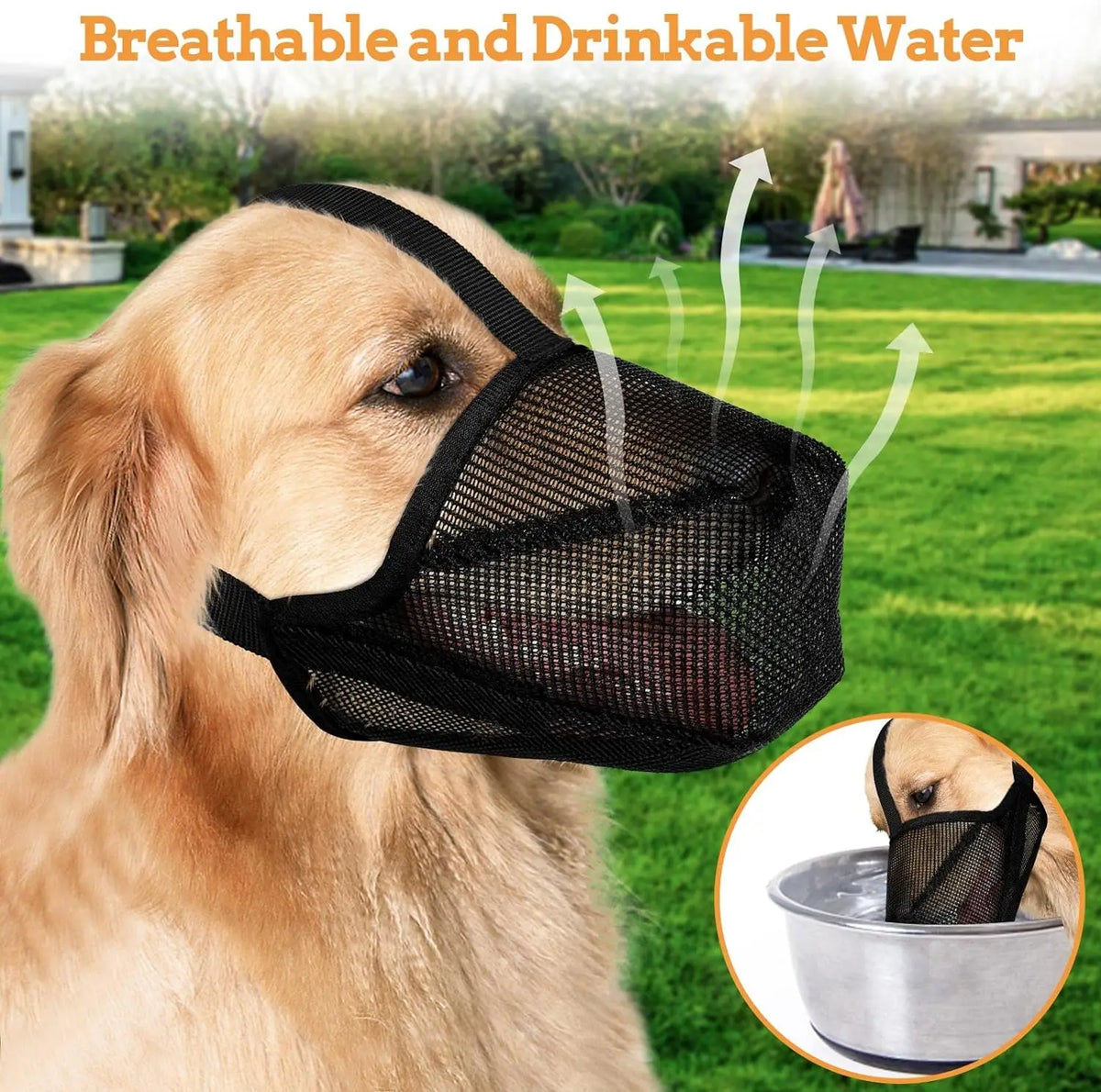 Un golden retriever con un bozal de malla negra suave para protección de cebo en un entorno exterior y verde.