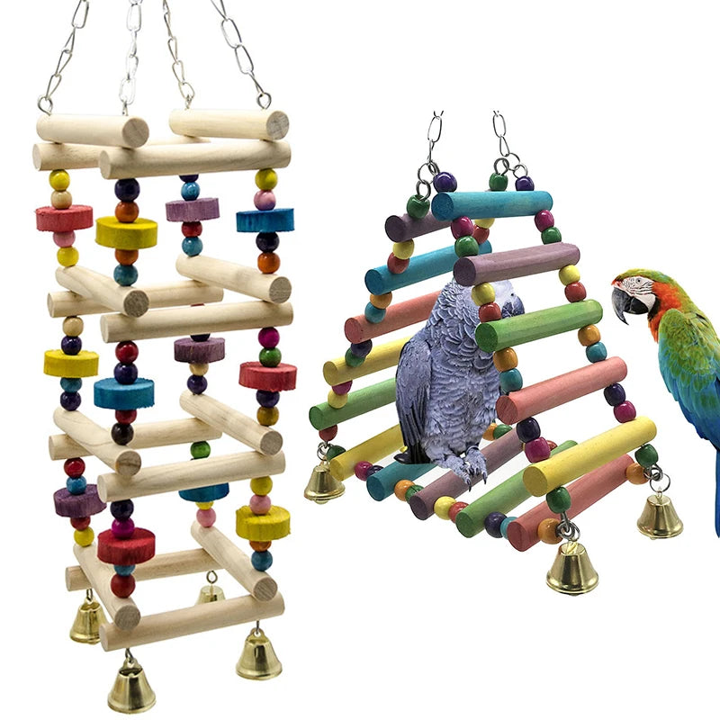 Holzparrotschale und Trainingsleiter mit bunten Holzblöcken zum Vogeltraining