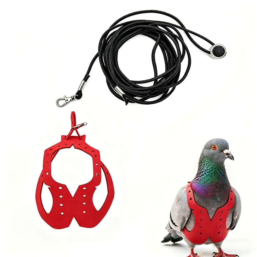 A red adjustable parrot harness and black elastic leash set with a dove-gray bird.