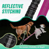 Dual Dog Leash with Shock-Absorbing Bungee (16 ft)