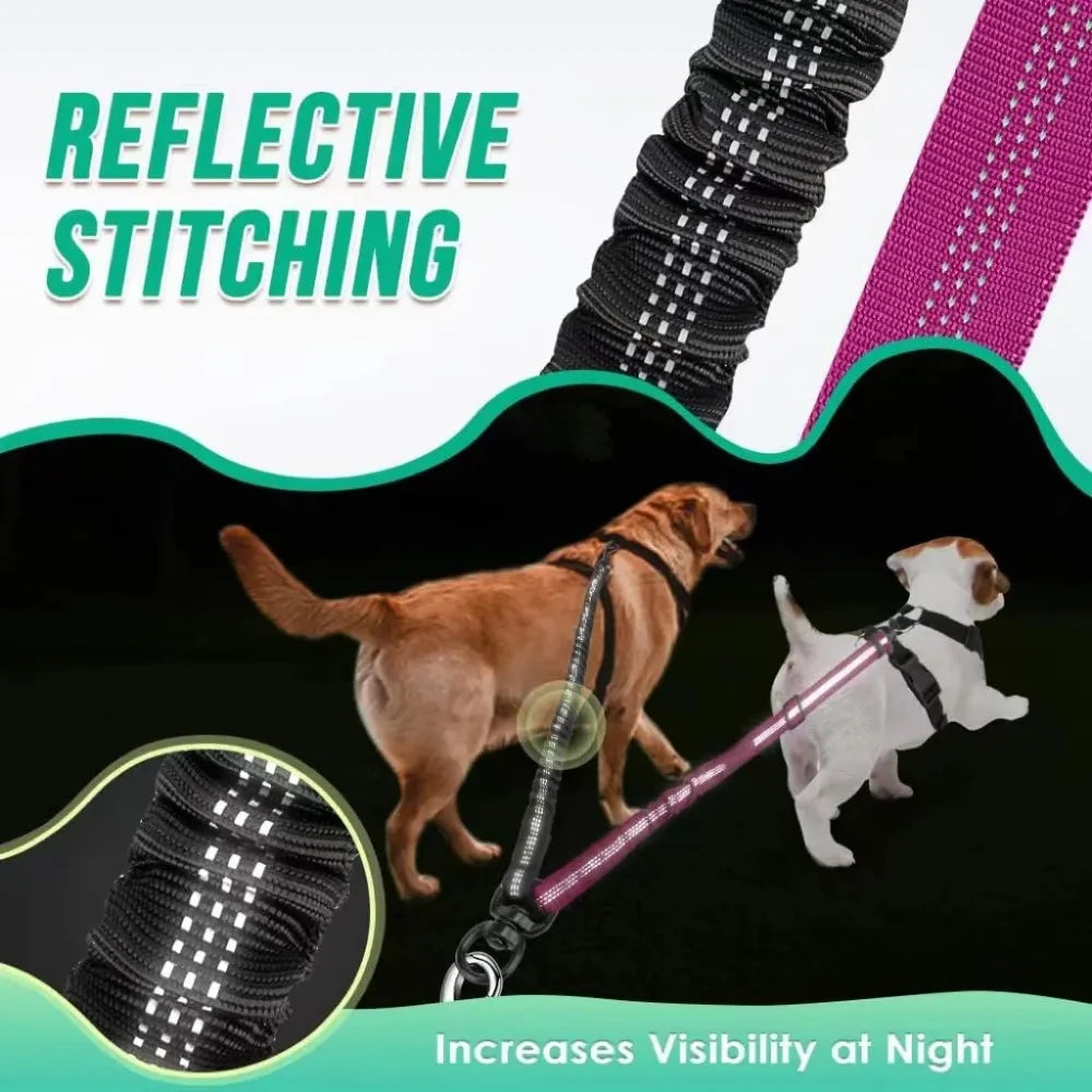 Dual Dog Leash with Shock-Absorbing Bungee (16 ft)