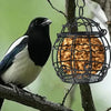 Hanging Metal Bird Feeder with Hook