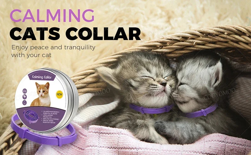 A purple calming collar is shown next to two kittens sleeping peacefully in a woven basket.