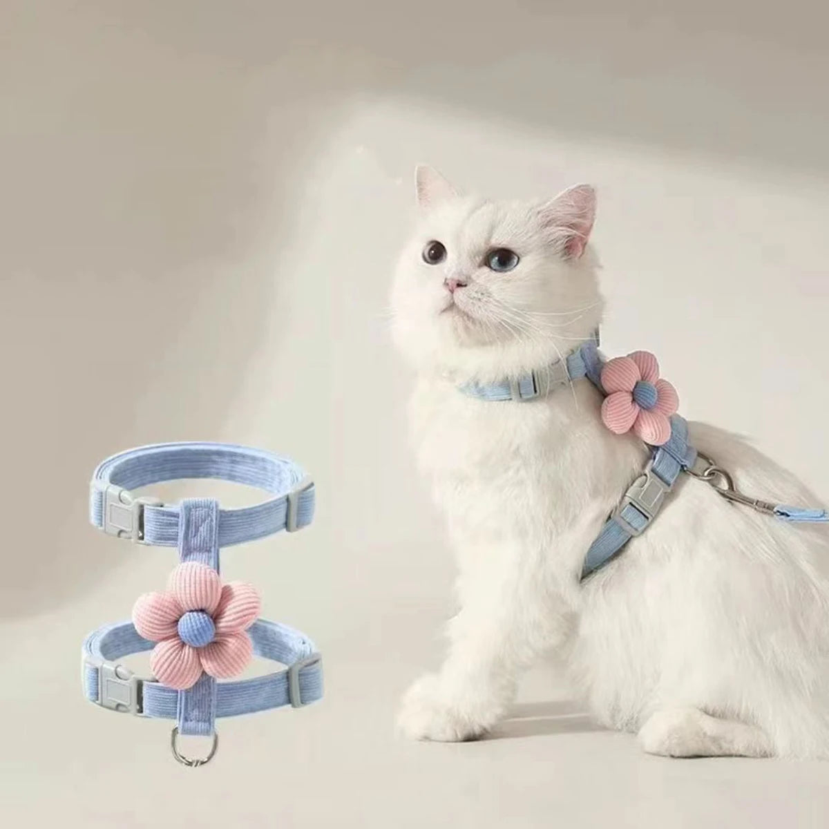 Weiße Katze mit hellblauer Netz-Halskrause und Leine.
