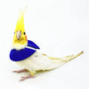 Adjustable Bird Recovery Collar – Anti-Pecking Protective Neck Sleeve
