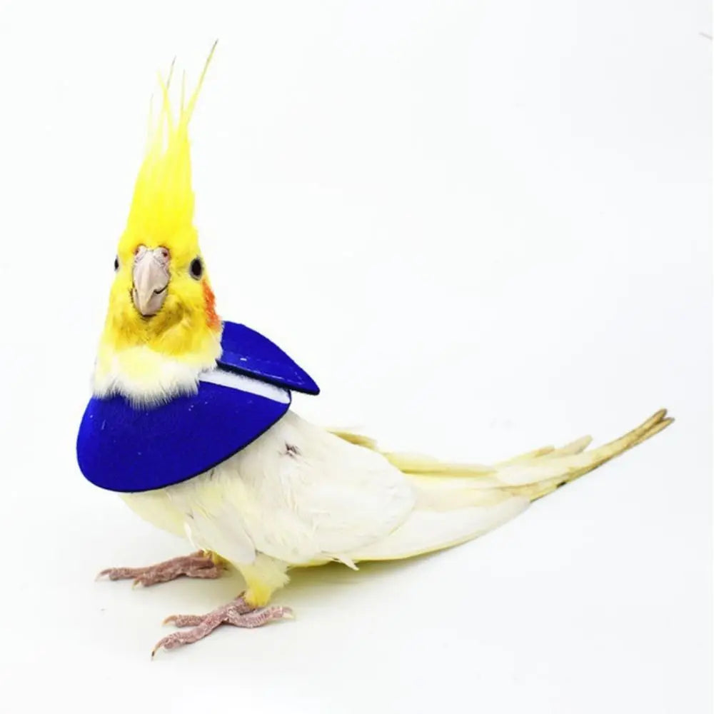 Adjustable Bird Recovery Collar – Anti-Pecking Protective Neck Sleeve