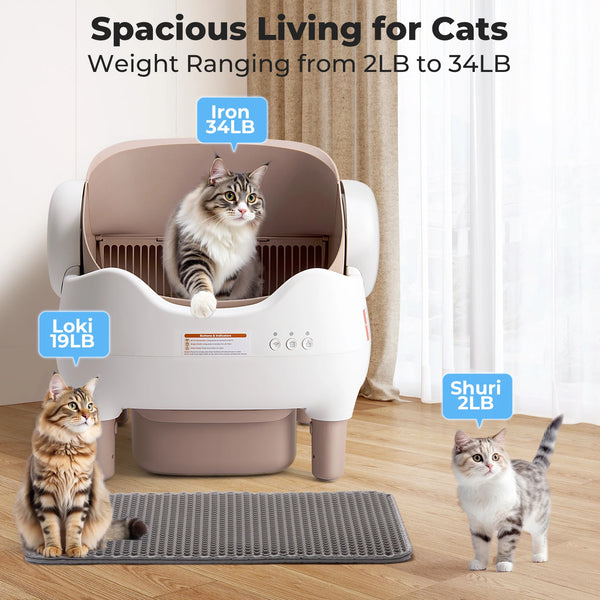 A white smart automatic cat litter box is shown with a cat inside, demonstrating its spacious design for cats weighing 2LB to