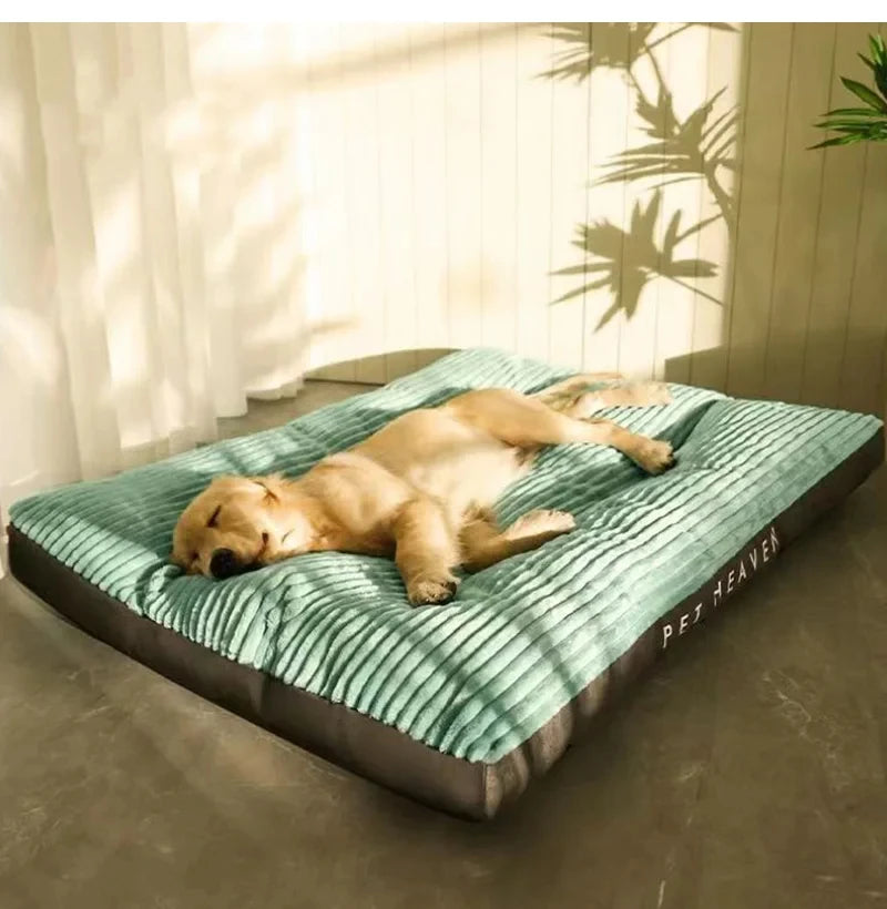 Ein golden Retriever liegt auf einem türkisgrünen Samtpuppenbett drinnen, mit Sonnenlicht durch das Fenster.