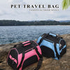 A pink and black pet travel bag is placed on a rock near the ocean with lush greenery in the background.